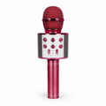 Rock Light S178 Portable Karaoke Microphone with Built-In Speaker, Recording & Remix Controls