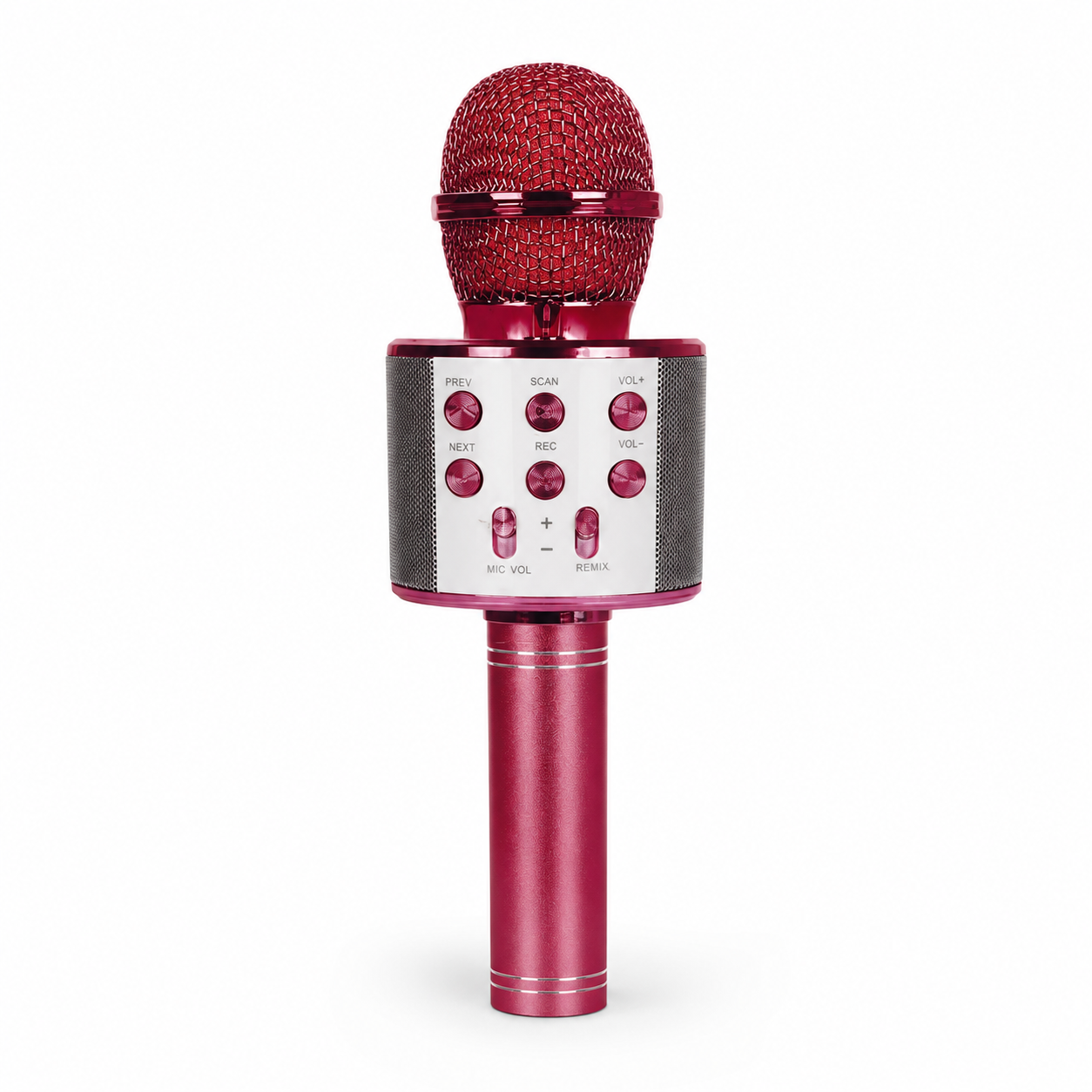 Rock Light S178 Portable Karaoke Microphone with Built-In Speaker, Recording & Remix Controls