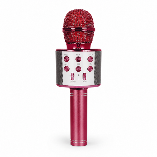 Rock Light S178 Portable Karaoke Microphone with Built-In Speaker, Recording & Remix Controls