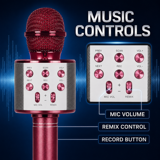 Rock Light S178 Portable Karaoke Microphone with Built-In Speaker, Recording & Remix Controls